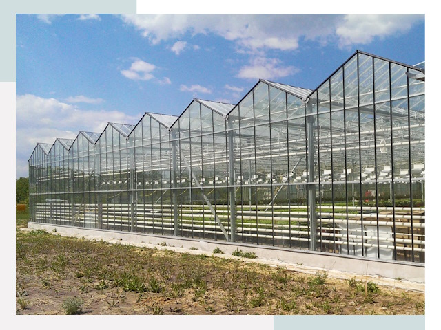 Строительство теплиц в Топки от 608 руб. за м²