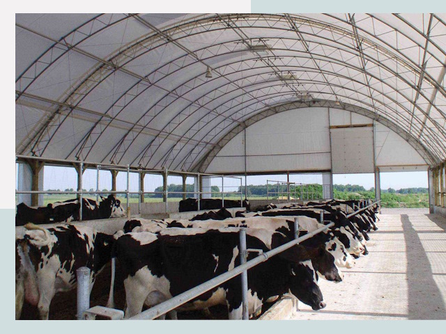 Тентовые коровники в Топках